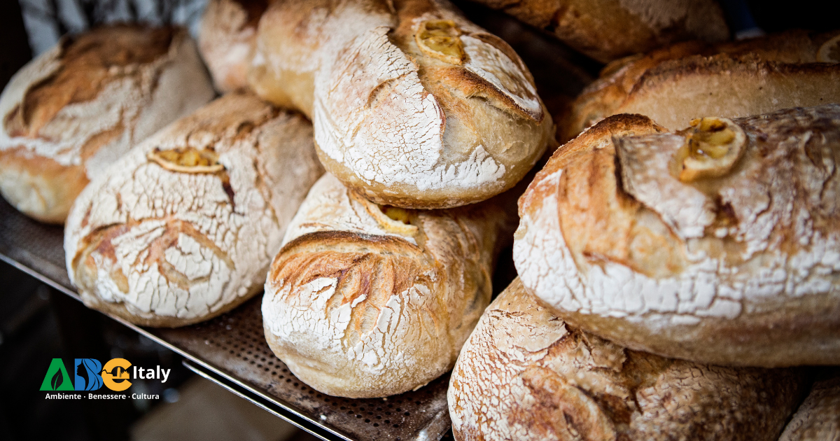 Fare il pane in casa: tra mani e territorio